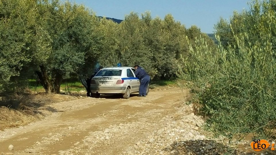 Αυτό ήταν το τελευταίο κρησφύγετο του συζυγοκτόνου της Χαλκιδικής -Ενα φυτώρειο [εικόνες] | iefimerida.gr 0