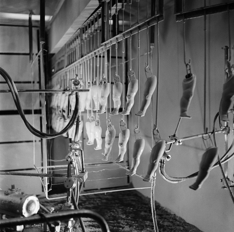 Ενα «στοιχειωμένο» εργοστάσιο -Οταν τα παιχνίδια ξυπνούν τους χειρότερους εφιάλτες [εικόνες]  | iefimerida.gr 5