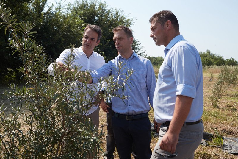 Ο Μητσοτάκης σε παραγωγούς της Καρδίτσας -Είδε τις καλλιέργειες, άκουσε τα προβλήματά τους [εικόνες] | iefimerida.gr 0
