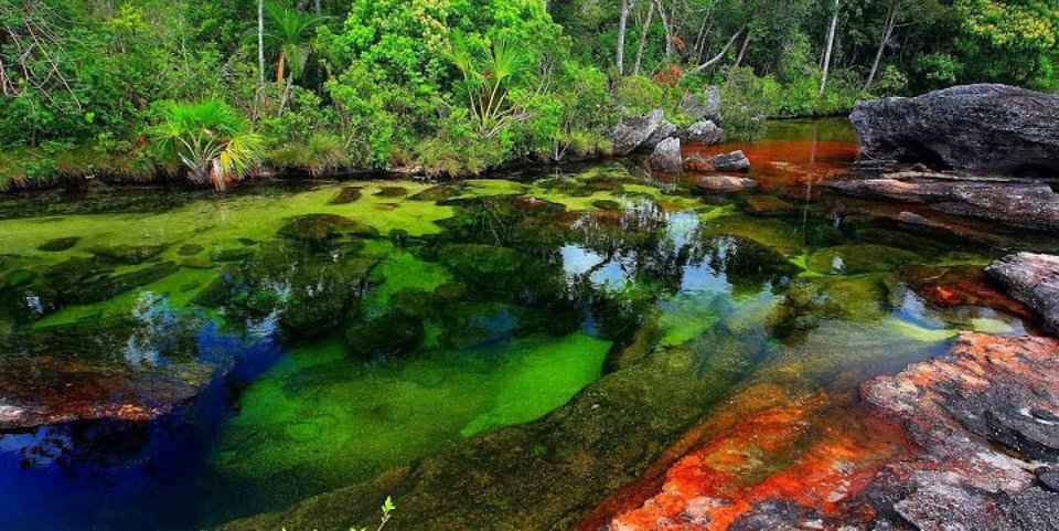 Κάνο Κριστάλες: Το πολύχρωμο ποτάμι της Κολομβίας που προσελκύει χιλιάδες τουρίστες [εικόνες] | iefimerida.gr 1