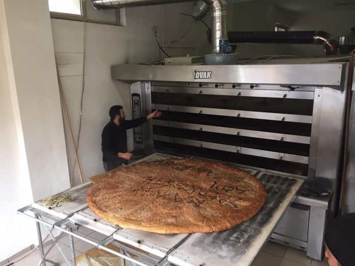 Λαγάνα-γίγας στην Κρήτη φτάνει τα 100 κιλά [εικόνα] | iefimerida.gr 0