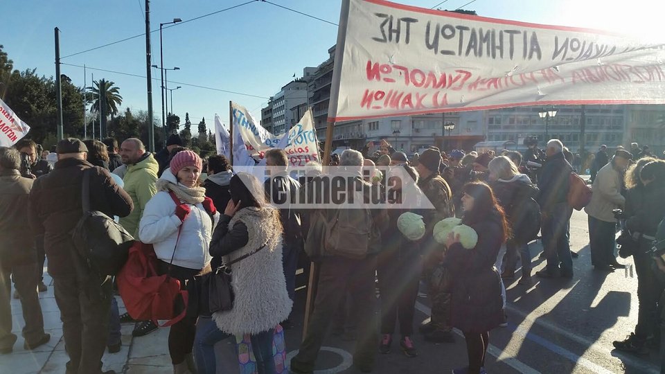 Οι αγρότες μοίρασαν λάχανα έξω από τη Βουλή [εικόνα] | iefimerida.gr 0