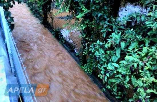 Λακωνία: Φούσκωσε επικίνδυνα ο Ευρώτας -Διακοπή κυκλοφορίας [εικόνες] | iefimerida.gr 1