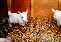 Τα 10 πράγματα που μπορούν να σου φτιάξουν το κέφι [εικόνες] | iefimerida.gr 6