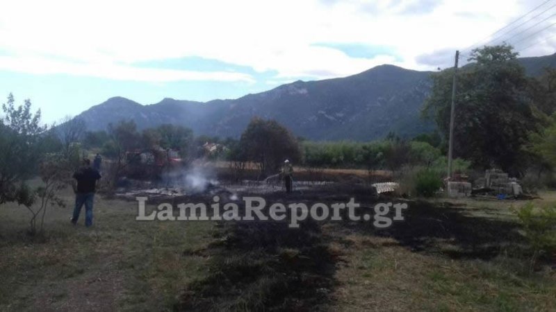 Φθιώτιδα: Κινδύνευσαν σπίτια από φωτιά- Τελευταία στιγμή αποφεύχθηκαν τα χειρότερα [εικόνες] | iefimerida.gr 0