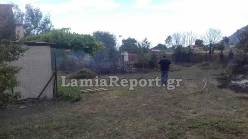 Φθιώτιδα: Κινδύνευσαν σπίτια από φωτιά- Τελευταία στιγμή αποφεύχθηκαν τα χειρότερα [εικόνες] | iefimerida.gr 1