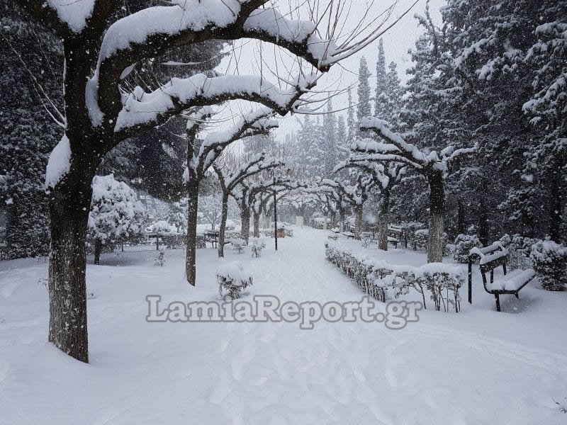 Μετρούν τις πληγές τους από τον χιονιά στη Στερεά Ελλάδα [εικόνες] | iefimerida.gr 0