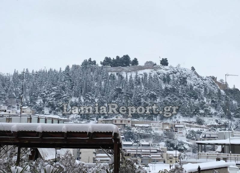 Μετρούν τις πληγές τους από τον χιονιά στη Στερεά Ελλάδα [εικόνες] | iefimerida.gr 1
