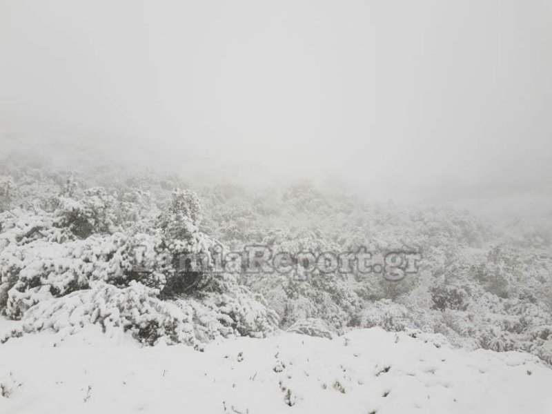 Στα «λευκά» Φθιώτιδα και Ευρυτανία -Κλειστοί δρόμοι, πού χρειάζονται αλυσίδες [εικόνες & βίντεο] | iefimerida.gr 3