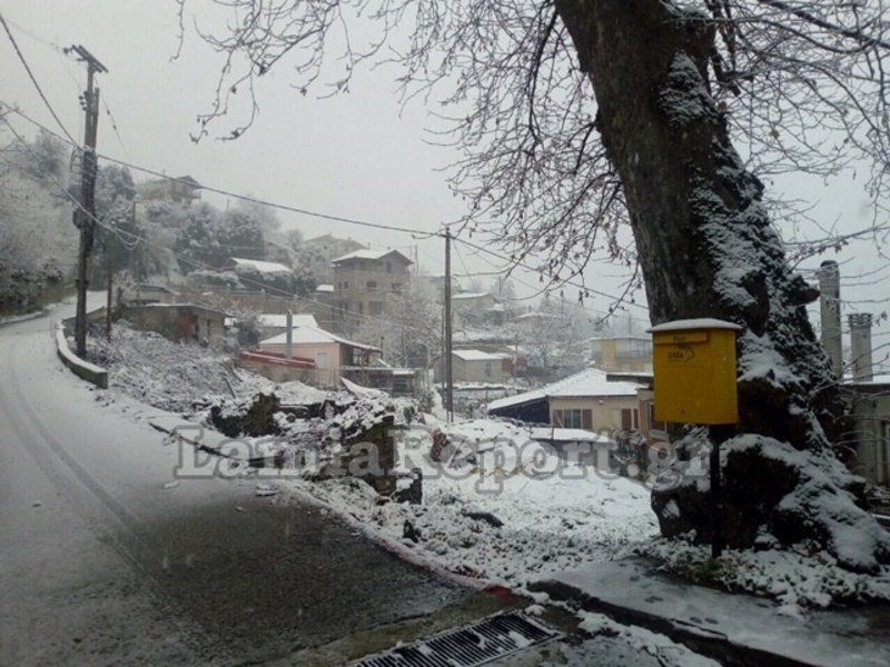 Η μισή Ελλάδα στα λευκά -Εκπληκτικές εικόνες, χιόνι μέχρι τη θάλασσα [εικόνες & βίντεο] | iefimerida.gr 13