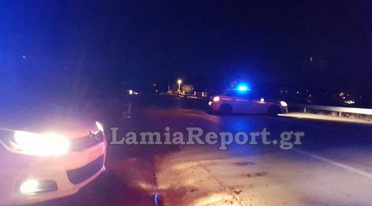 Συνέβη στη Λαμία: H αστυνομία κυνηγούσε... άλογα στην Εθνική Οδό [εικόνες] | iefimerida.gr 0