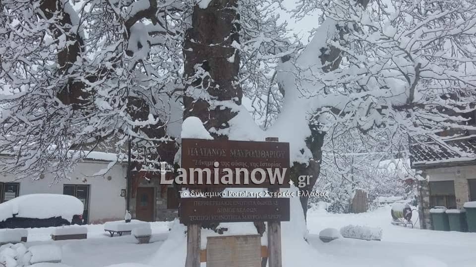 Είναι τρελοί στη Φωκίδα -Εκαναν ντριφταρίσματα με τζιπ με μισό μέτρο χιόνι [βίντεο] | iefimerida.gr 1