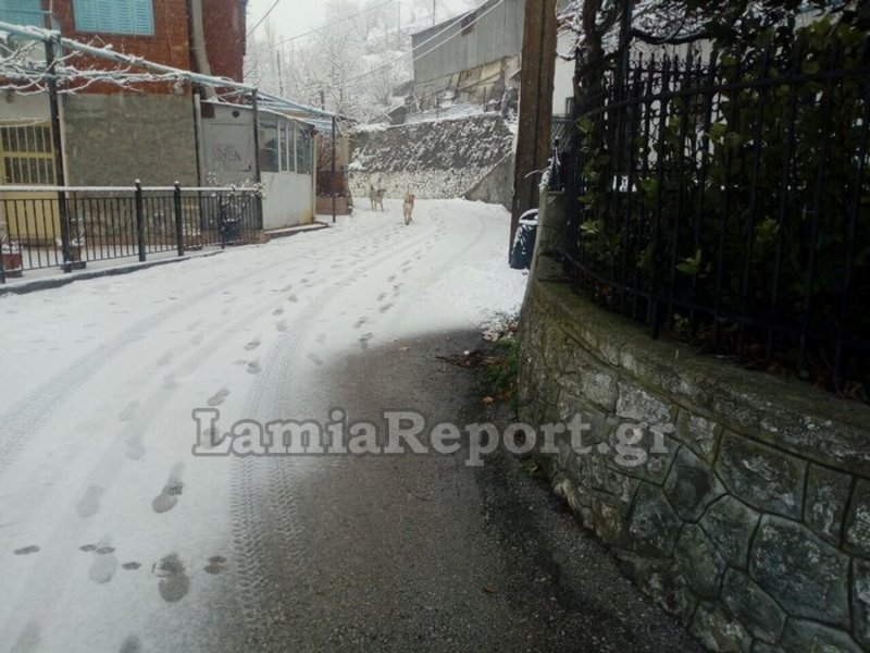 Η μισή Ελλάδα στα λευκά -Εκπληκτικές εικόνες, χιόνι μέχρι τη θάλασσα [εικόνες & βίντεο] | iefimerida.gr 14