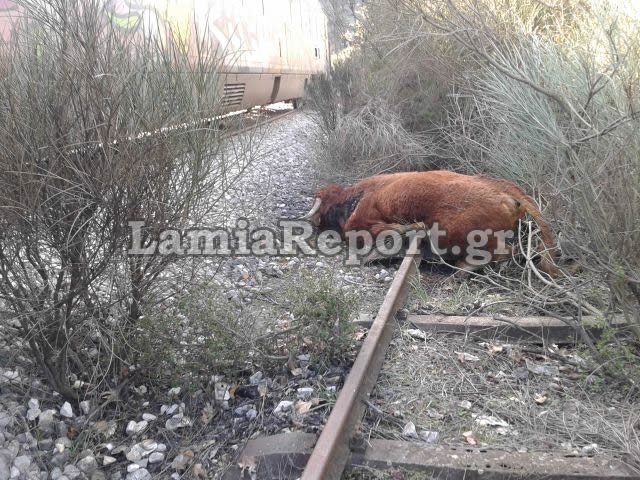 Οι πρώτες εικόνες από τον εκτροχιασμό τρένου με 230 επιβάτες στο Λιανοκλάδι [εικόνες] | iefimerida.gr 0