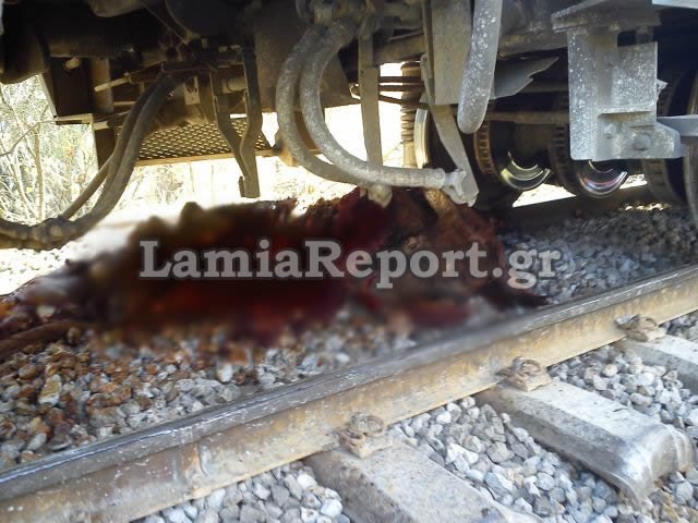 Οι πρώτες εικόνες από τον εκτροχιασμό τρένου με 230 επιβάτες στο Λιανοκλάδι [εικόνες] | iefimerida.gr 1