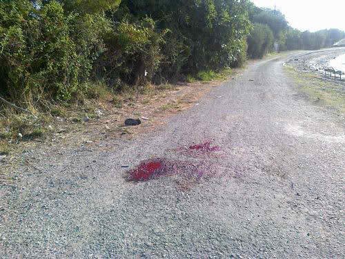 Eκαψαν το σπίτι του μακελάρη της Φθιώτιδας -Καταδικάστηκε σε δις ισόβια και αποφυλακίστηκε με τον νόμο Παρασκευόπουλου [εικόνες] | iefimerida.gr 4