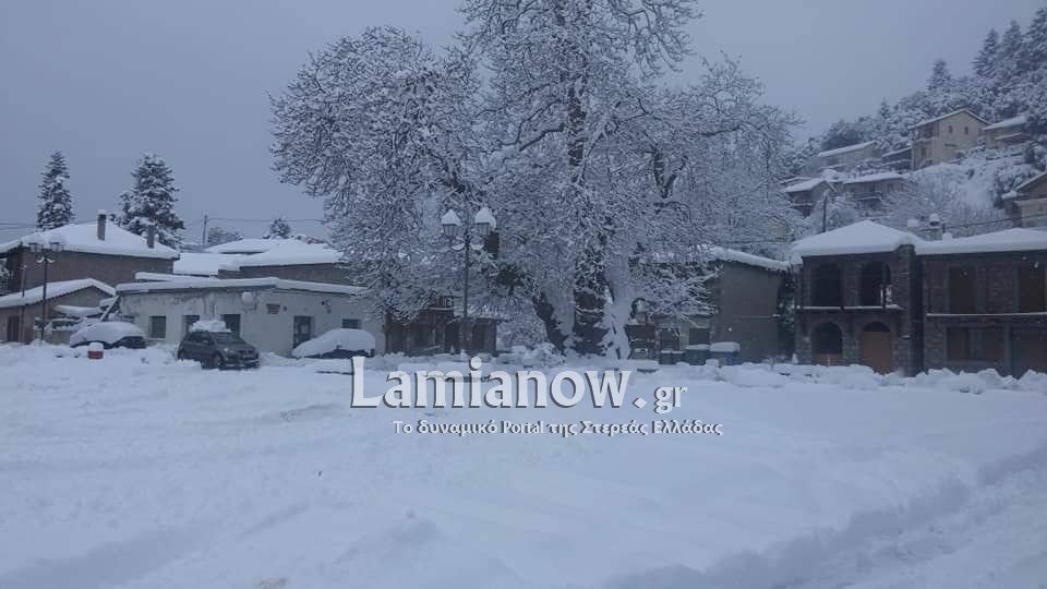 Είναι τρελοί στη Φωκίδα -Εκαναν ντριφταρίσματα με τζιπ με μισό μέτρο χιόνι [βίντεο] | iefimerida.gr 3