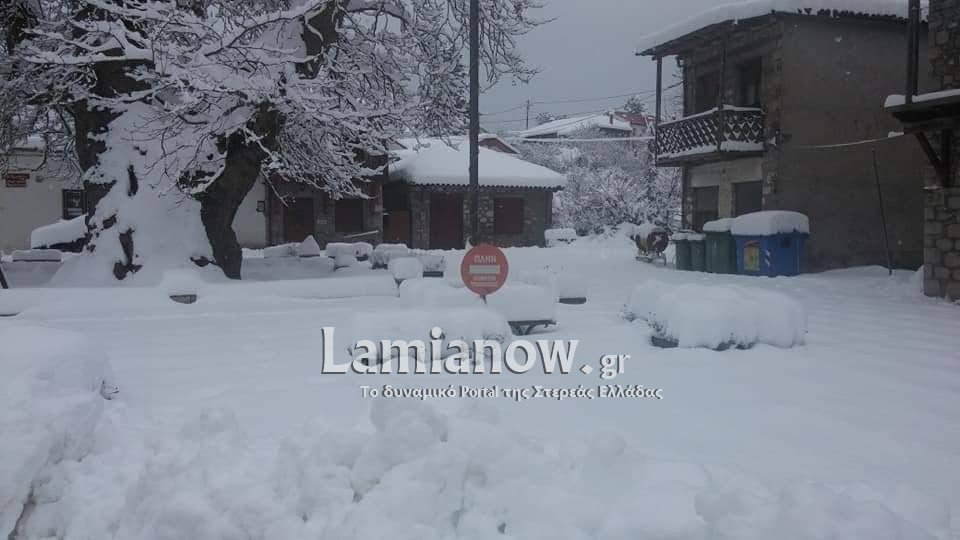 Είναι τρελοί στη Φωκίδα -Εκαναν ντριφταρίσματα με τζιπ με μισό μέτρο χιόνι [βίντεο] | iefimerida.gr 4