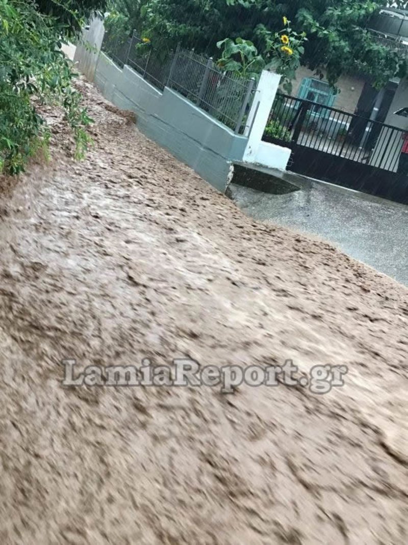 Προβλήματα από την καταρρακτώδη βροχή στη Φθιώτιδα -Εκλεισαν δρόμοι, ξεριζώθηκαν δέντρα [εικόνες & βίντεο] | iefimerida.gr 4