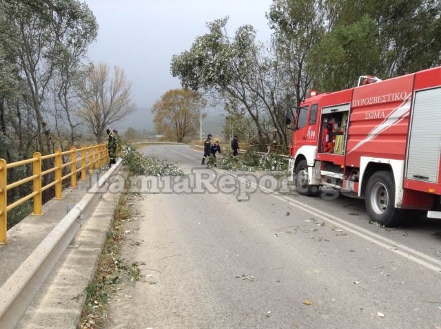 Oι δυνατοί άνεμοι ξερίζωσαν δέντρα και φανάρια στη Λαμία [εικόνες & βίντεο] | iefimerida.gr 0