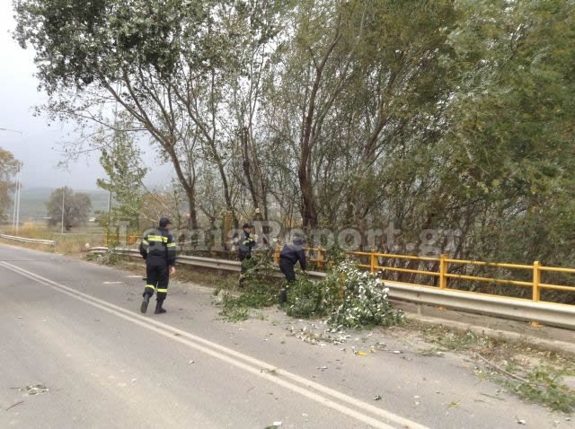 Oι δυνατοί άνεμοι ξερίζωσαν δέντρα και φανάρια στη Λαμία [εικόνες & βίντεο] | iefimerida.gr 1