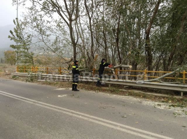 Oι δυνατοί άνεμοι ξερίζωσαν δέντρα και φανάρια στη Λαμία [εικόνες & βίντεο] | iefimerida.gr 2