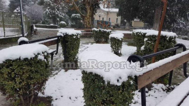 Στα λευκά η χώρα, προβλήματα από την κακοκαιρία – Χιόνια και χαμηλές θερμοκρασίες και σήμερα [εικόνες&βίντεο] | iefimerida.gr 12