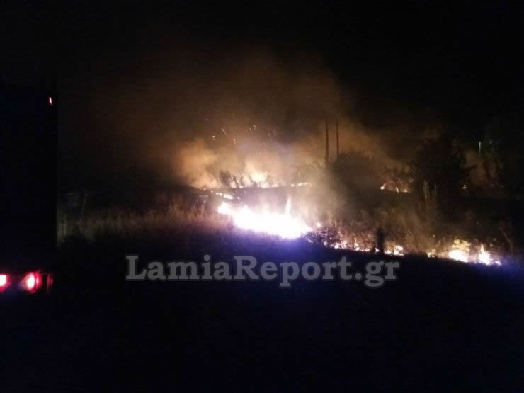 Διερχόμενο τρένο προκάλεσε φωτιά σε περιοχή της Λαμίας [εικόνες] | iefimerida.gr 2