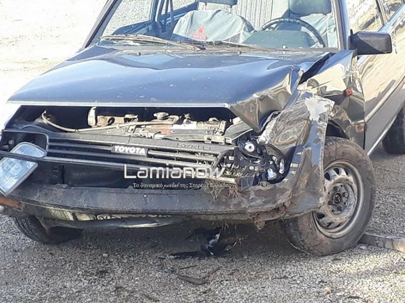 Λαμία: Ανυποψίαστη οδηγός έπεσε πάνω σε εφτά σκοτωμένα αγριογούρουνα [εικόνες] | iefimerida.gr 2