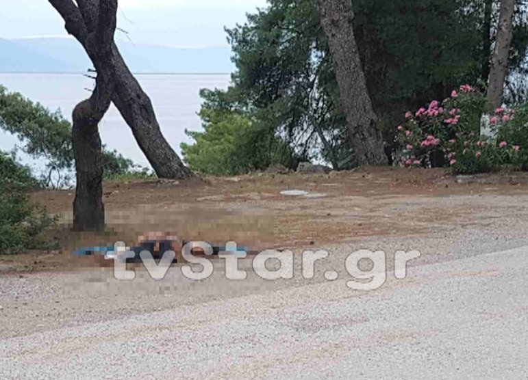 Εγκλημα απίστευτης αγριότητας στη Φθιώτιδα: Τον χτύπησαν, τον μαχαίρωσαν και τον πάτησαν με αυτοκίνητο [εικόνες] | iefimerida.gr 1