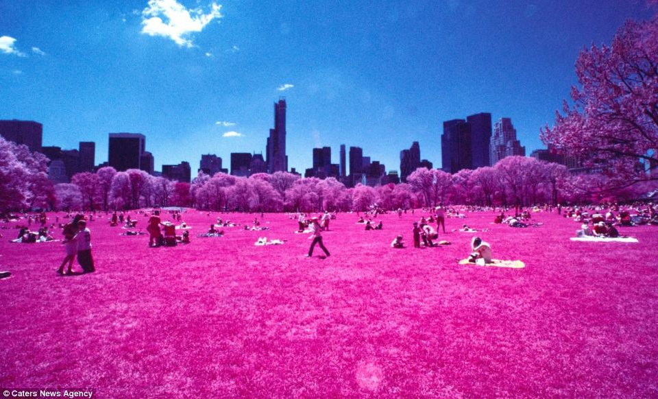 Ενας υπέροχος... κατακόκκινος κόσμος -Το ευφάνταστο τρικ ενός φωτογράφου [εικόνες] | iefimerida.gr 7