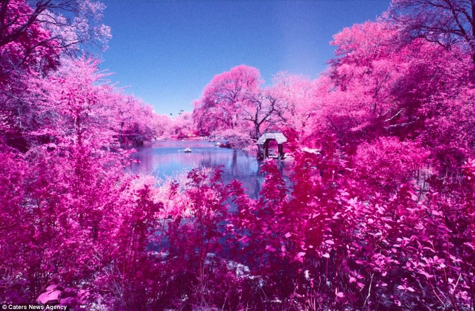 Ενας υπέροχος... κατακόκκινος κόσμος -Το ευφάνταστο τρικ ενός φωτογράφου [εικόνες] | iefimerida.gr 8