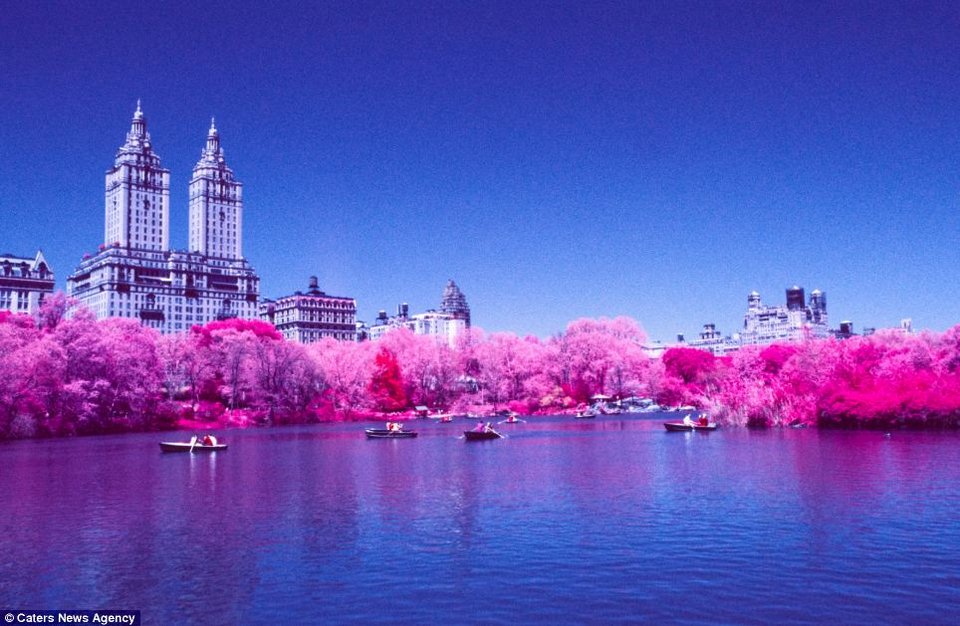 Ενας υπέροχος... κατακόκκινος κόσμος -Το ευφάνταστο τρικ ενός φωτογράφου [εικόνες] | iefimerida.gr 0