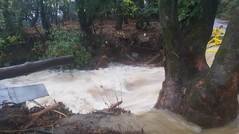 Πλημμύρισαν σπίτια στη Λάρισα -Κινδύνεψαν δύο άνθρωποι [εικόνες & βίντεο] | iefimerida.gr 6