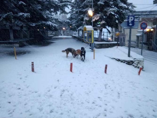 Στα «λευκά» ντύθηκαν τα ορεινά της Λάρισας [εικόνες] | iefimerida.gr 0