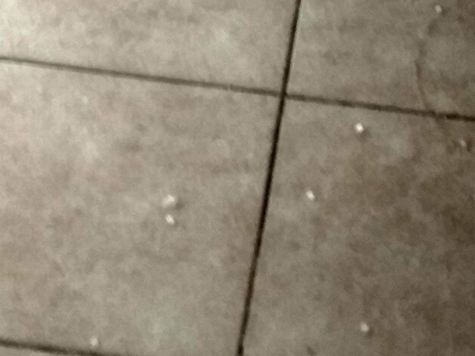 Φθινόπωρο αντί για καλοκαίρι στη Λάρισα -Καταρρακτώδης βροχή [εικόνες & βίντεο] | iefimerida.gr 2