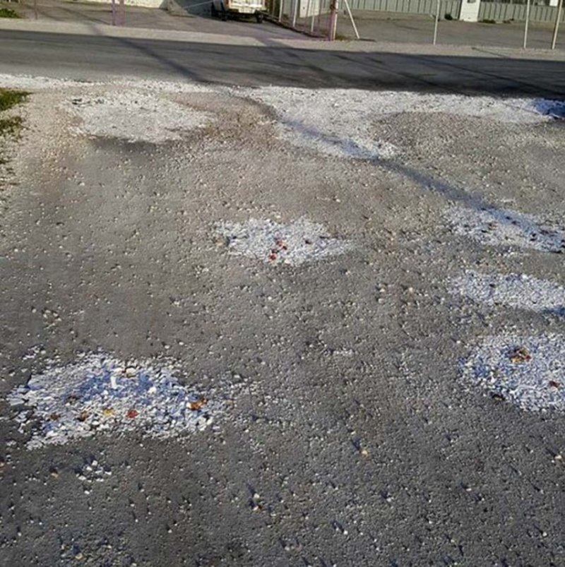 Λάρισα: Εκλεισαν τις λακκούβες στο δρόμο με... σπασμένα πιάτα και γαρύφαλλα [εικόνες] | iefimerida.gr 3