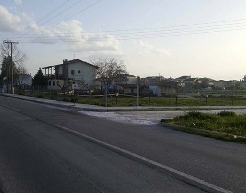 Λάρισα: Εκλεισαν τις λακκούβες στο δρόμο με... σπασμένα πιάτα και γαρύφαλλα [εικόνες] | iefimerida.gr 4