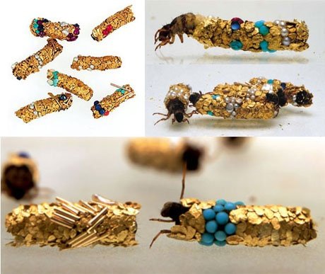 Φυσικά κοσμήματα: Φωλιές από χρυσάφι και πολύτιμους λίθους [εικόνες + βίντεο] | iefimerida.gr 5