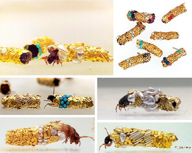 Φυσικά κοσμήματα: Φωλιές από χρυσάφι και πολύτιμους λίθους [εικόνες + βίντεο] | iefimerida.gr 6