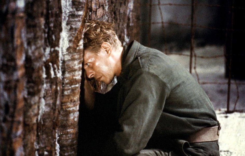 Ειδική προβολή: «Καλά Χριστούγεννα κύριε Λόρενς» με τον Ντέιβιντ Μπόουι στην Αλκυονίδα μόνο την Πέμπτη [εικόνες, βίντεο] | iefimerida.gr 1