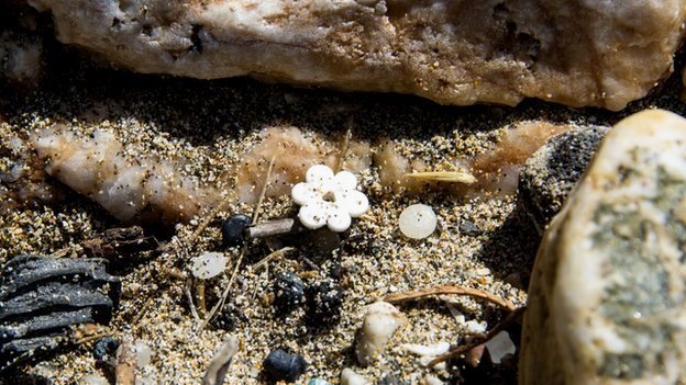 Η παραλία που αντί για κοχύλια, είναι γεμάτη Lego -Γιατί το κύμα ξεβράζει συνέχεια πλαστικά παιχνίδια [εικόνες] | iefimerida.gr 7