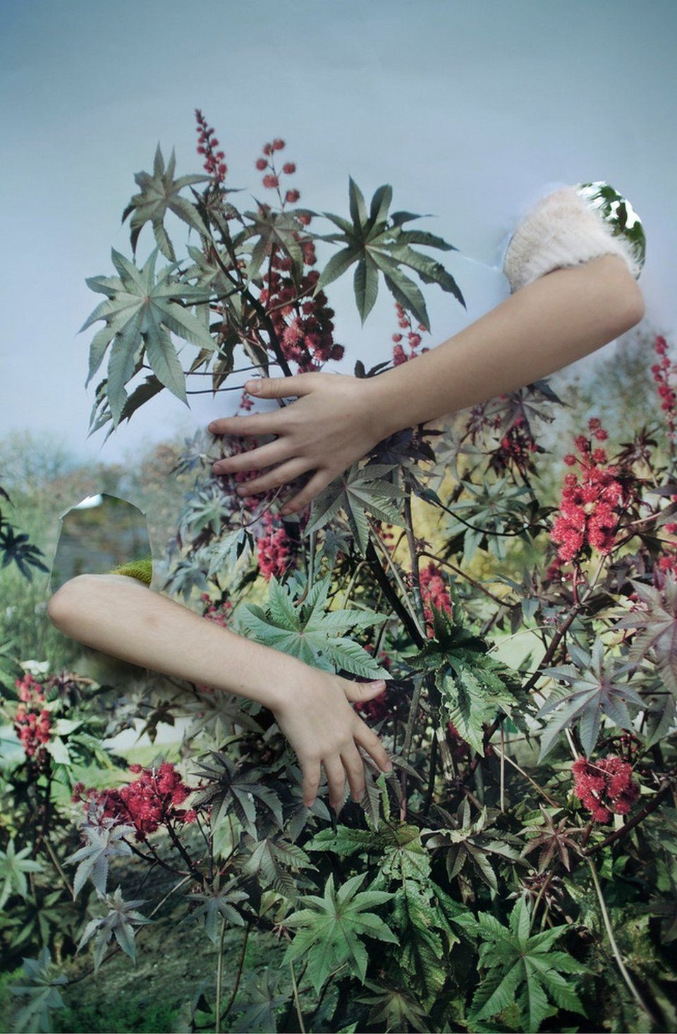 Φωτογραφίες σαν πίνακες ζωγραφικής -9 από τα καλύτερα κλικ του 2015 [εικόνες] | iefimerida.gr 3