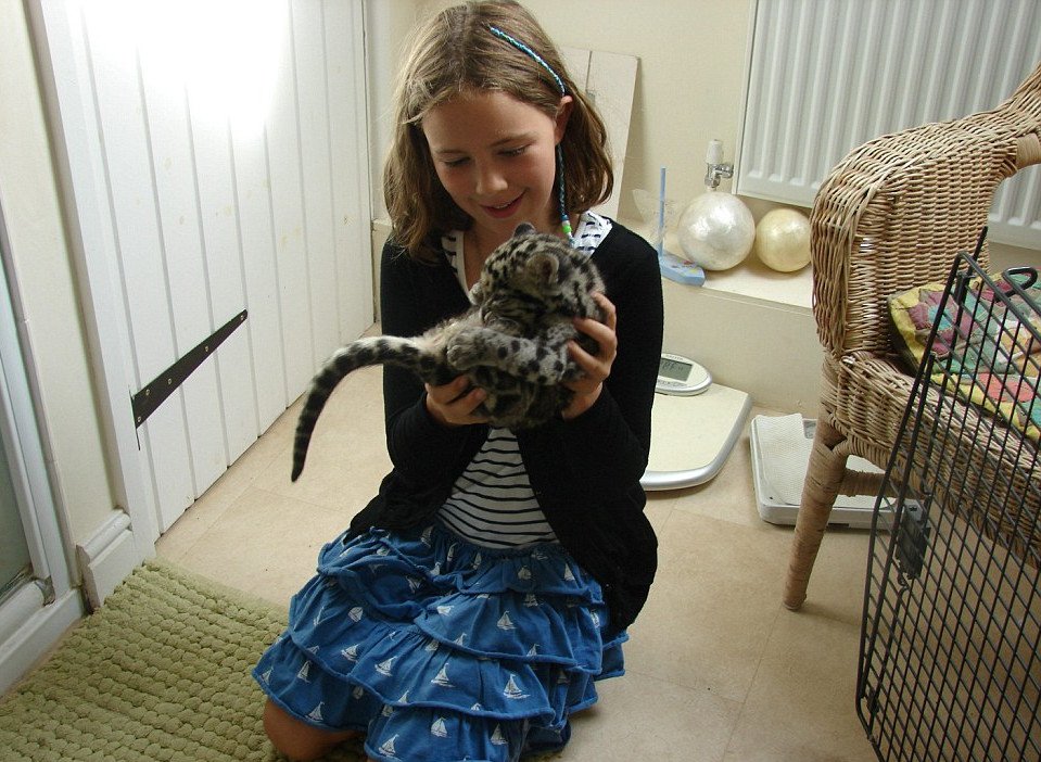 Mία λεοπάρδαλη στο μπάνιο -Οικογένεια τη μεγάλωσε μέσα στο σπίτι της σαν κατοικίδιο [εικόνες] | iefimerida.gr 5