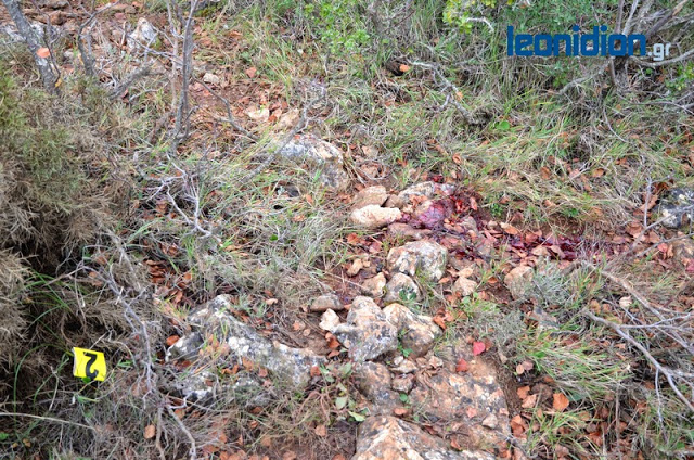 Αυτοκτόνησε με φυτοφάρμακο ο δολοφόνος της πολύτεκνης κτηνοτρόφου στο Λεωνίδιο [εικόνες] | iefimerida.gr 1