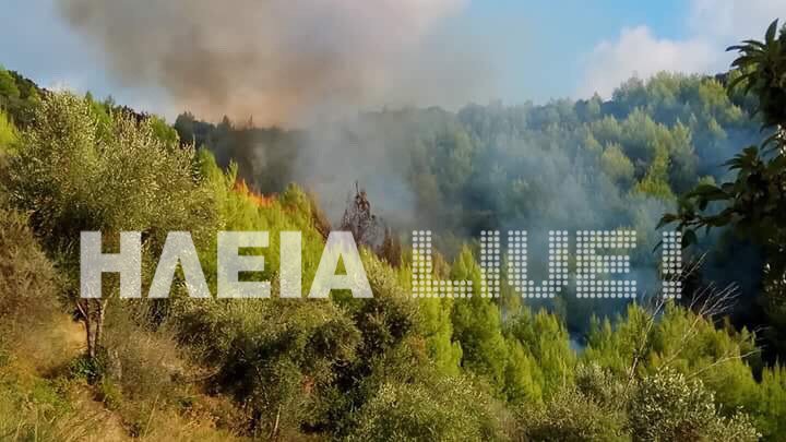 Ηλεία: Υπό μερικό έλεγχο η φωτιά στη Ζαχάρω -Σε αναγεννημένη δασική έκταση [εικόνες] | iefimerida.gr 2