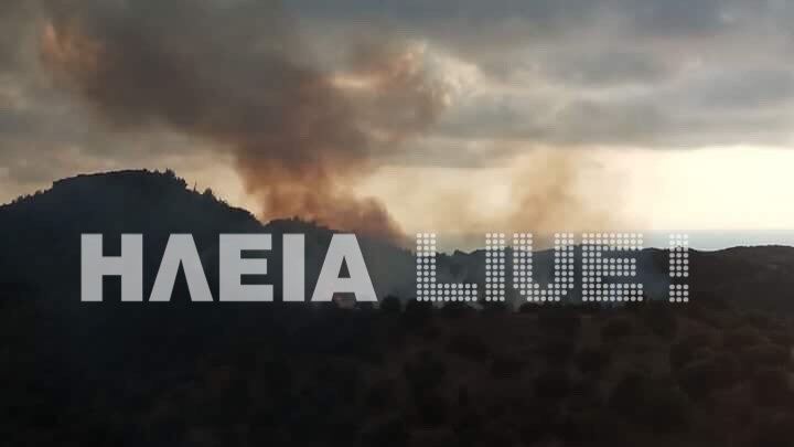 Ηλεία: Υπό μερικό έλεγχο η φωτιά στη Ζαχάρω -Σε αναγεννημένη δασική έκταση [εικόνες] | iefimerida.gr 1