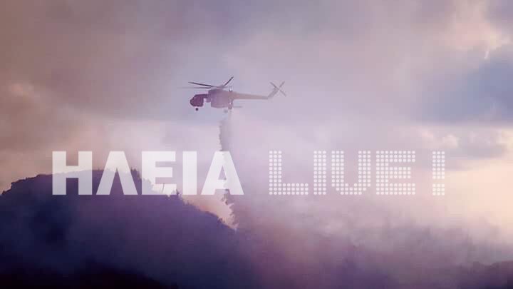 Ηλεία: Υπό μερικό έλεγχο η φωτιά στη Ζαχάρω -Σε αναγεννημένη δασική έκταση [εικόνες] | iefimerida.gr 0