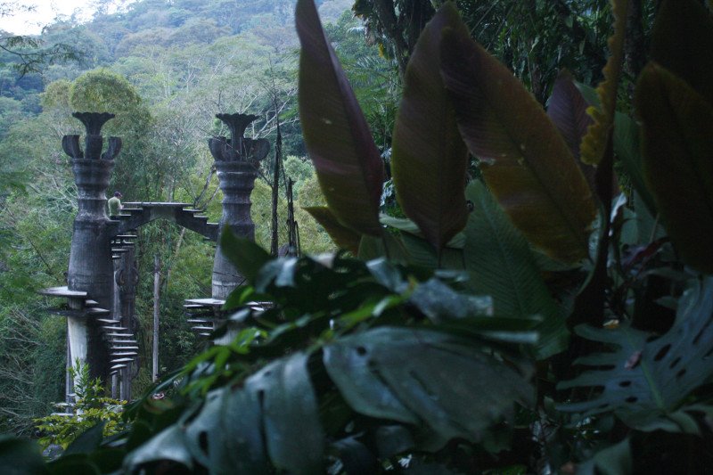 Και ξαφνικά, στο Μεξικό, μέσα στη ζούγκλα βρέθηκαν περίεργα κτίρια και γλυπτά [εικόνες] | iefimerida.gr 8
