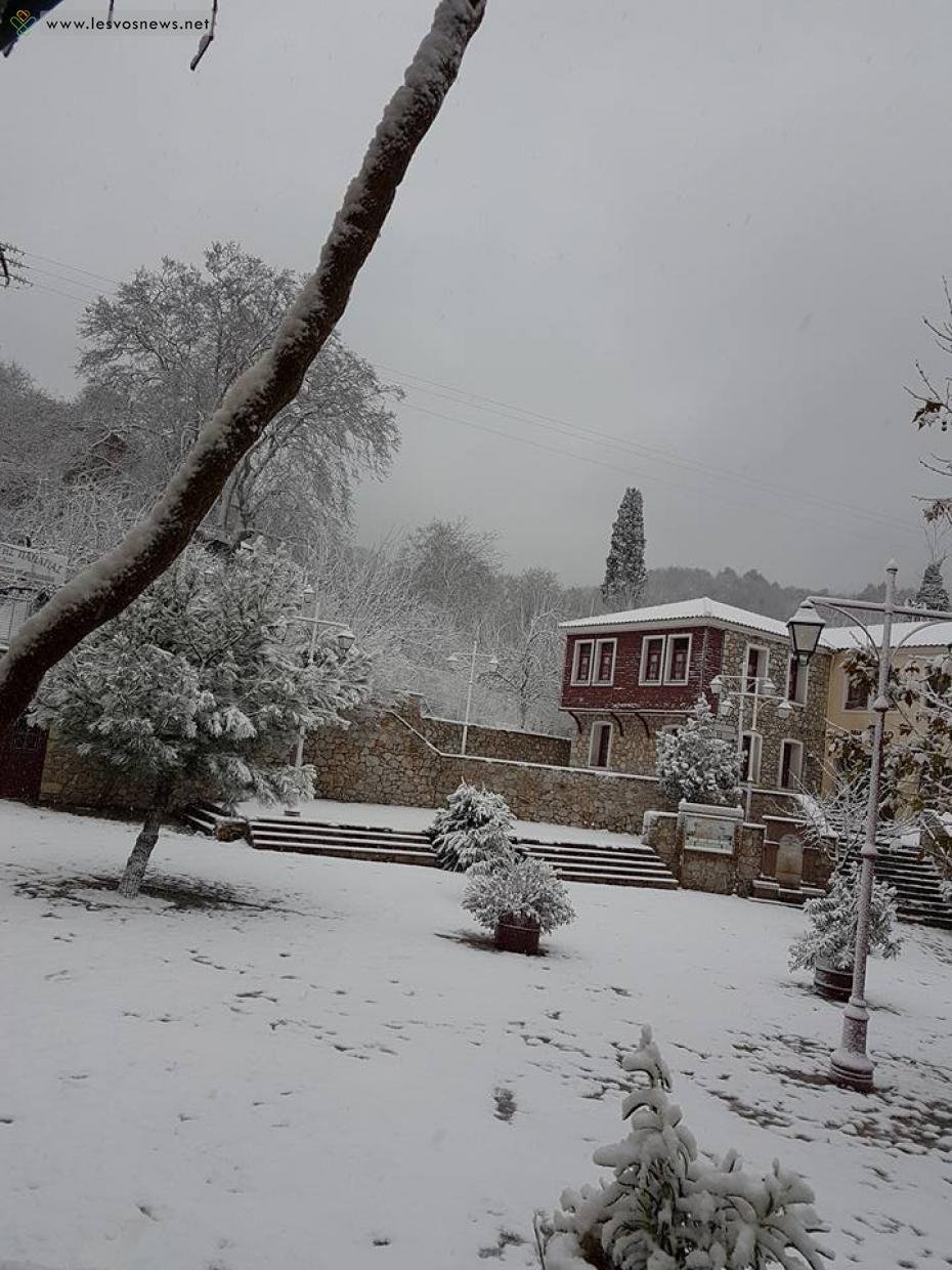Σε λευκό κλοιό η Ελλάδα -Πυκνές χιονοπτώσεις από Ηπειρο και Θεσσαλία έως Κρήτη [εικόνες[ | iefimerida.gr 12